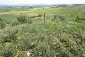 Túmulo Kortabairrieta  (Junio  2018)