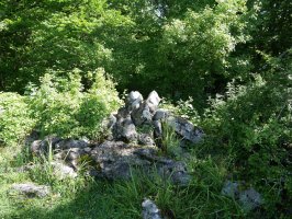 Irumuga tontorreko harripila