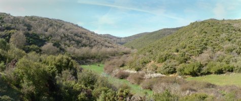 Bidean gora, Markora leporantz