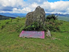 Ilso de Perutxote Zutarria