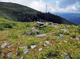 Campo Ventoso 3 Tumulua