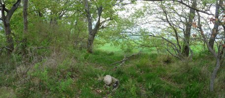 San Kristobalgo gailur xumea