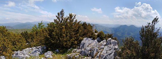 Larrogaingo gailurra