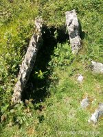 Odiego II Hego trikuharria 3