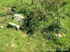 Sorogain zista (2018)