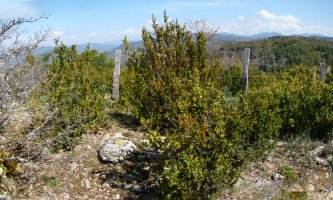 Takoa, Torres eta Peña de la Guardiaren arteko kota batean