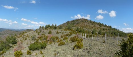  Peña de la Guardia, hegoaldeko lepotik