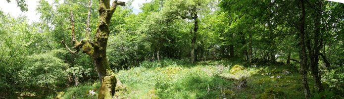 Tontorraren inguruko soilune bat