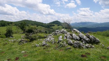 Akordategaña tontorra