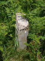 Seinale zaharra hondatuta