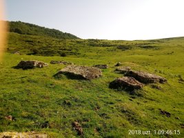 Azpegi I M. trikuharria (2018)