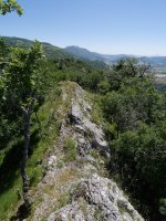 Aritzabaleko Eko gandorra