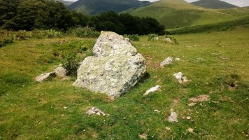 Soroluxe trikuharria 1