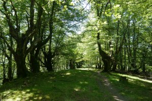 Axuste eta Guratz arteko bideko pasartea