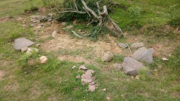 Nabarbide zutarria 3