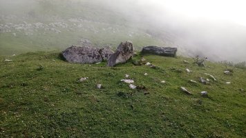 Zearragoena trikuharria 3