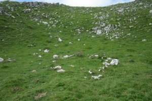 Cromlech Alborta  (Julio 2018)