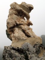 Legaire 5 Sur zutarria, Entzia