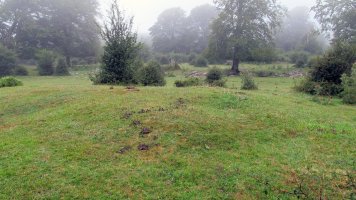 Legaire hego 1 etxola hondoa, Entzia