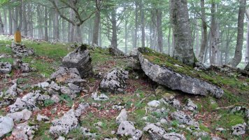 Baio Este zutarria, Entzia