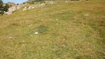 Eskilzarra II tumuloa (2018)