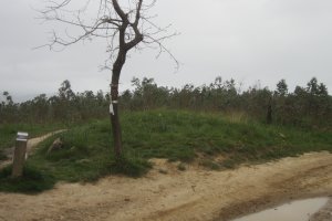 Túmulo Saierrokolanda II   (Abril 2018)