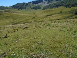 Besse etxola hondoa-4