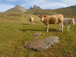 Centre Pastoral zutarria