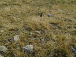 Lalagüe sur harrespila