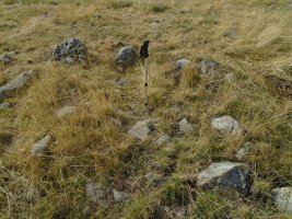 CABANE LALAGÜE SUR harrespila