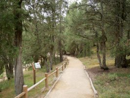 La Fuentonara iristen