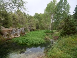 Abión ibaiaren hastapenak, La Fuentona de Muriel