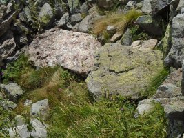 Col de saoubathou trikuharria