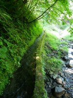 Errotaren ubidea, Dorletako gatzaga, Leintz Gatzaga