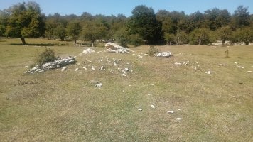 Larreaundi trikuharria 2