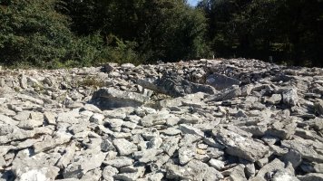 Armorkora Txikia trikuharria 5