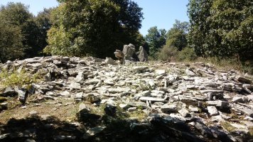 La Cañada trikuharria 2