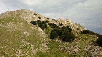 Udalaitz (1120m) eta Atxaurrutxugane (979m) Pozutxuetatik (775m)