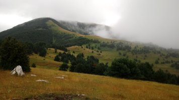 Larrondoa Intzagatik