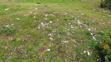 Otsaportillo tumulua, Urbasa