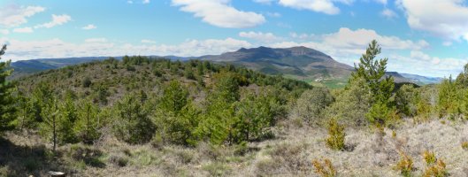 Paisaia gaiilurretik