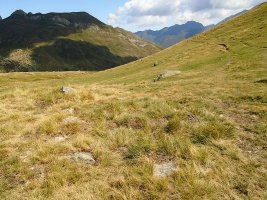 plaa houngarous 2 este