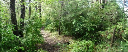 Mendien sokatik doan bidexka