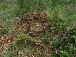 Laugarren mailako seinale geodesikoa Etxarrengo gainean