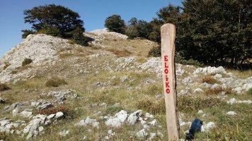 Eloiko izen-estaka Umandiara igotzen HE-tik