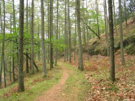 Aireko Palazioaren inguruko bidea