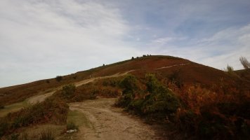 Nafarkorta (1016m) mendia hego-ekialdetik