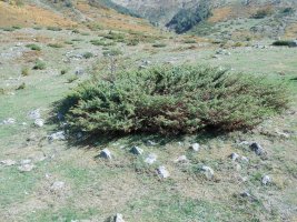 BARRANCO LOS ARRIGAZUELOS 2