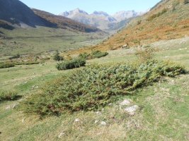 BARRANCO LOS ARRIGAZUELOS 2