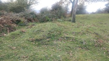 Arrazpi trikuharria 2